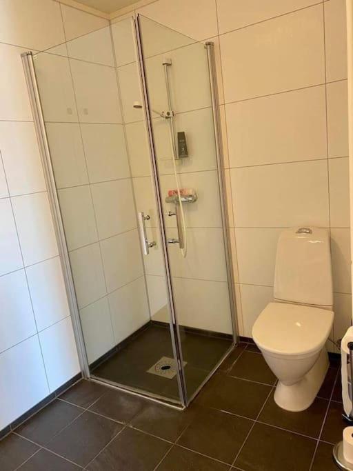 Leilighet Sentralt Pa Senja Silsand Buitenkant foto